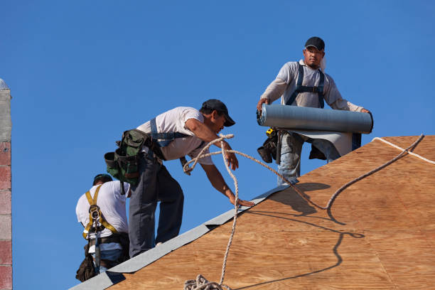 Best Roof Restoration Services  in Shongopovi, AZ