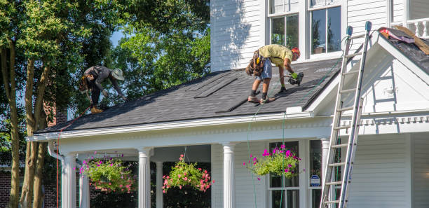 Best Roof Gutter Cleaning  in Shongopovi, AZ